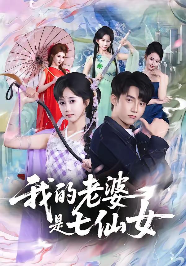 我的老婆是七仙女封面