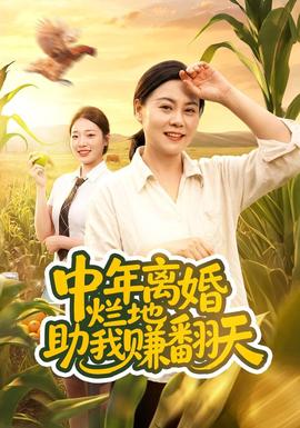中年离婚，烂地助我赚翻天封面