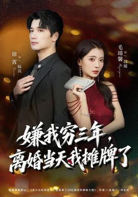 嫌我穷三年，离婚当天我摊牌了封面